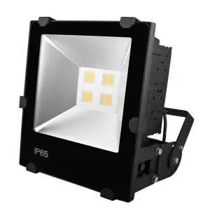 100W IP65 High Power Outdoor Led Flood Light