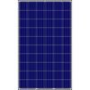 Solar Panels  -SolarMax (10W-300W)