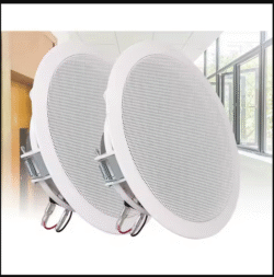 Ceiling and Wall Speakers