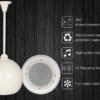 Ceiling Speakers hanging pendant