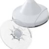 Cross Point Ostra & Shell D40