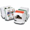 Siemon Category 6 MAX 6 UTP Outlets Modules