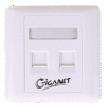 Giganet Cat6 2-port double faceplate