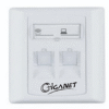 Giganet Cat6A double faceplate