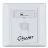 Giganet cat6A single faceplate
