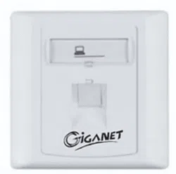 Giganet cat6A single faceplate