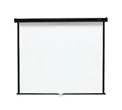 Projector Screen Wall Mount 127 x 127 cm