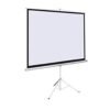Tripod Projector Screen 200 x 200 cm